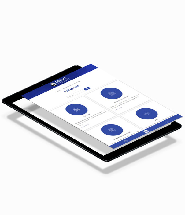 Visuel site internet tablette - Cobalt Avocats